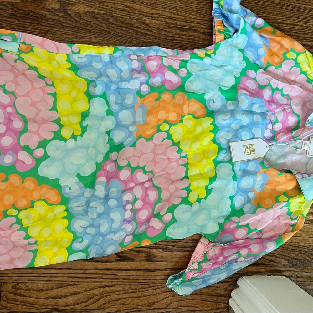 NWT Emily McCarthy Dress size small